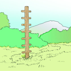 Arbre