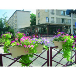 balconnière sur rambarde
