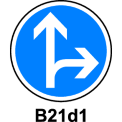 B21.1